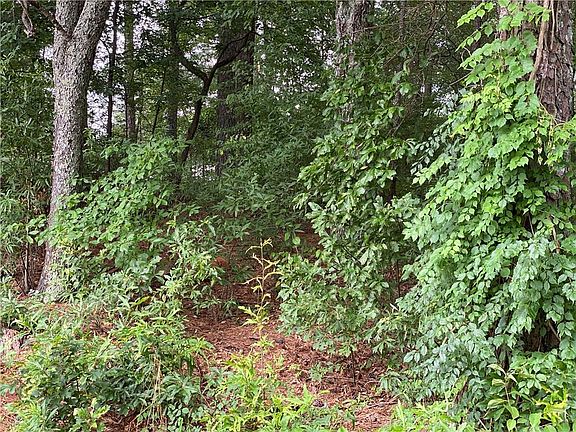 3rd image of 0 Thomas Dorsey Dr Lot 15