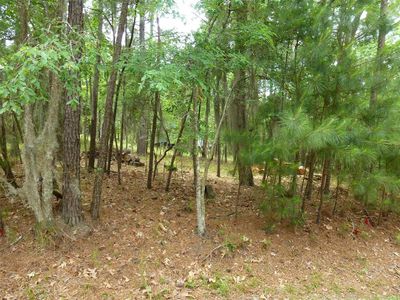22 S Royale Greens Dr, Coldspring, TX, 77331