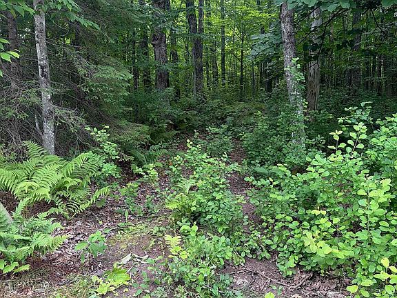 2nd image of Old Us Highway 2 Rd