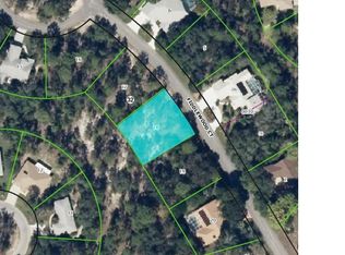 8 Fiddlewood Ct, Homosassa, FL 34446