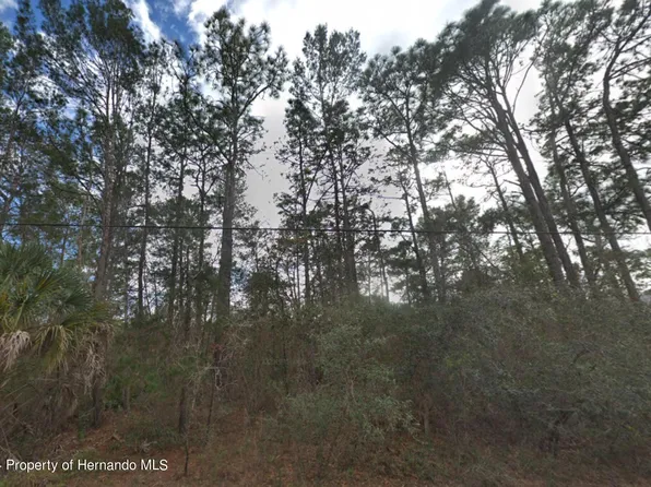 9142 Michigan Ave, Weeki Wachee, FL 34613