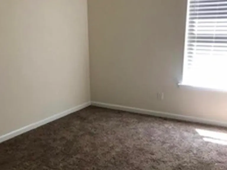 1103 Foxtail Dr — Photo 16
