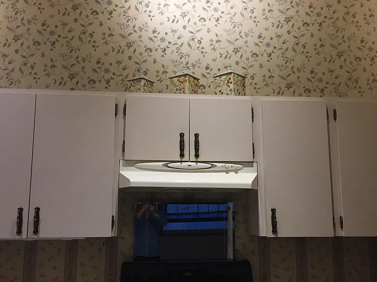 253 Fawn Ct — Photo 11