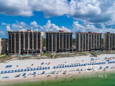 24160 Perdido Beach Blvd #2113, Orange Beach, AL, 36561