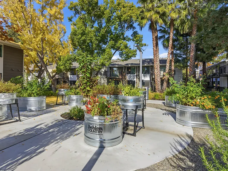 Courtyard Area