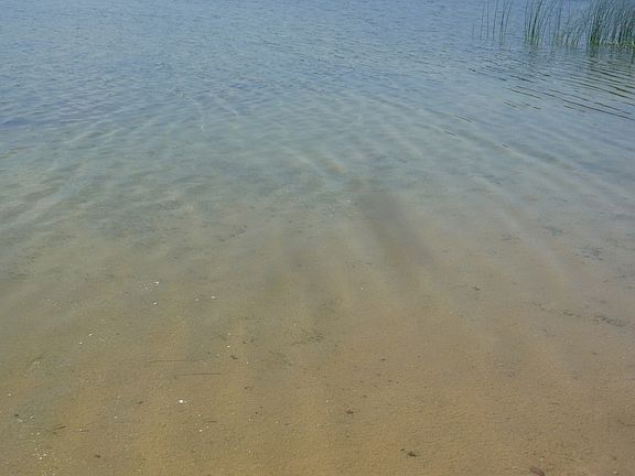 Sandy bottom beach area