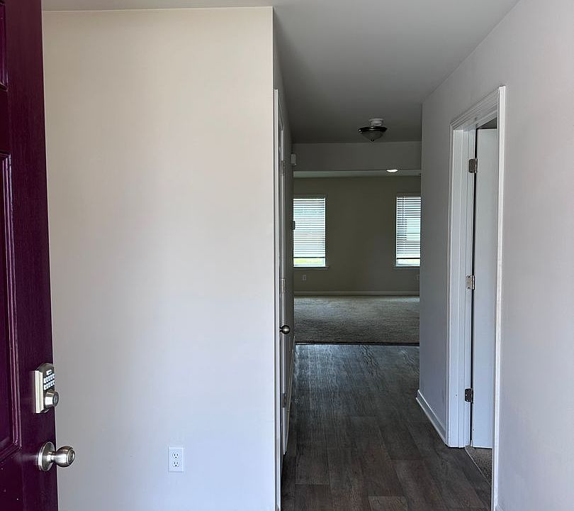 16 Yellow Kelp Hopkins SC Zillow