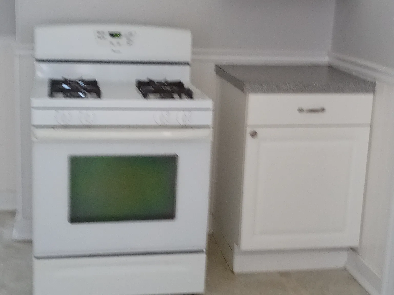 2 bed, 1000 sqft, $1,750 — Photo 3