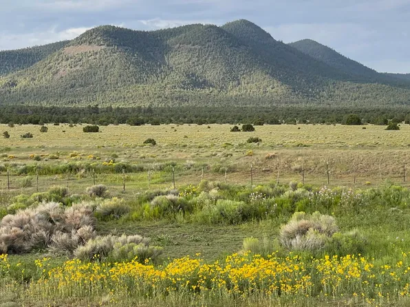 165 Reid Rd, Datil, NM 87821