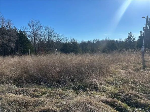 410 Nancy Dr, Lonedell, MO 63060