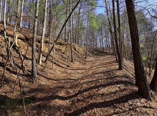 2148R Pacer Ct, Ellijay, GA 30540