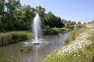 Fountain at edge of woods