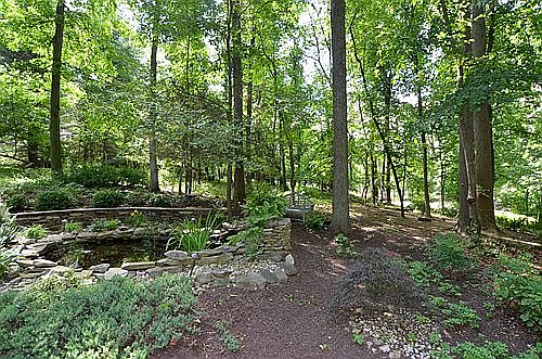 PEACEFUL WOODED BLISS