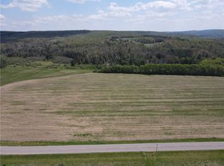 LOT 1 County Road 16 Lot 41, Swain, NY 14884
