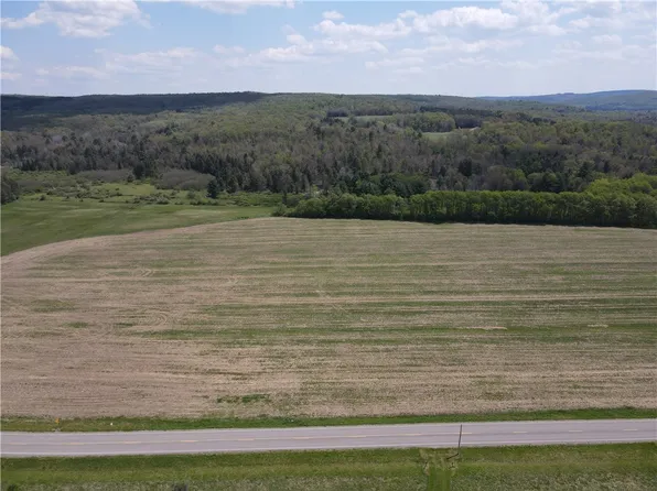 LOT 1 County Road 16 Lot 41, Swain, NY 14884