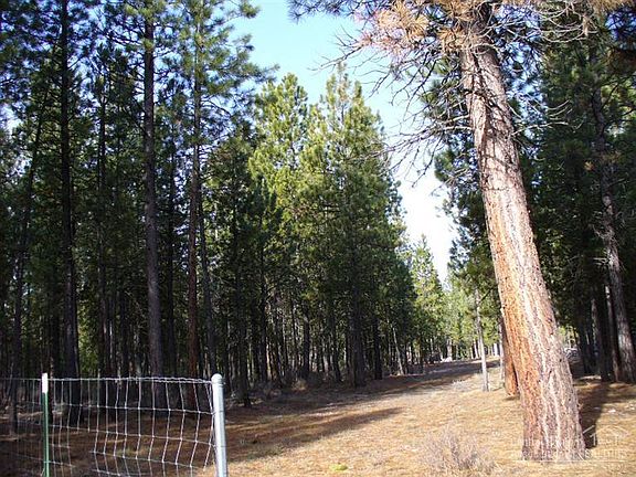 4th image of 14724 Peachwood