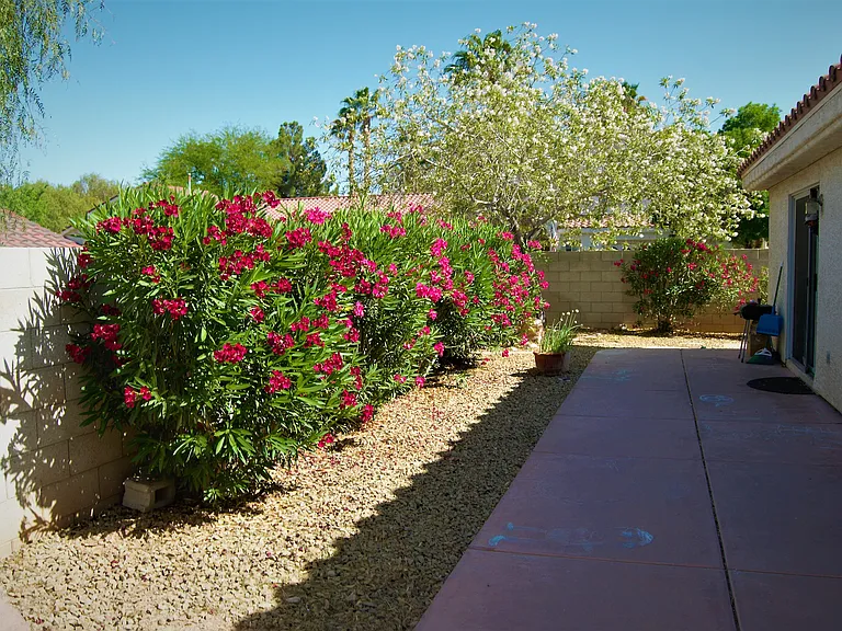 22 Durango Station Dr — Photo 3