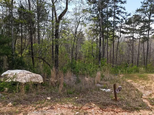 129 Hawk Ln, Ellijay, GA 30540