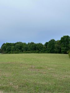 0 Helicon Rd, Arley, AL, 35541