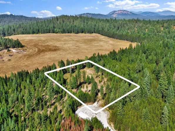 102 Fox Ln, Newport, WA 99156