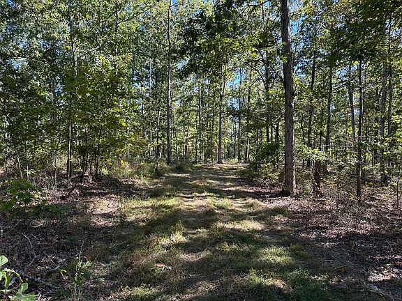 5th image of 373 Old Highway 18