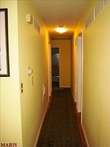 4th image of 446 Hill Trail Dr