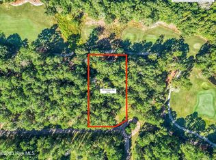 118 Riverstone Run Dr, Wallace, NC 28466
