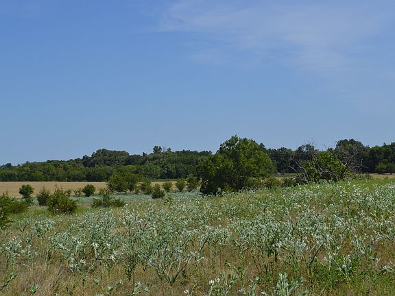 DSC_0017.JPG