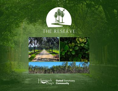 32 Reserve At Hammock Bay, Freeport, FL, 32439