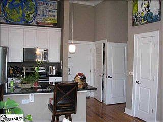 5th image of 224 S Laurens St Unit 406-L