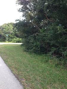 Wooded corner lot