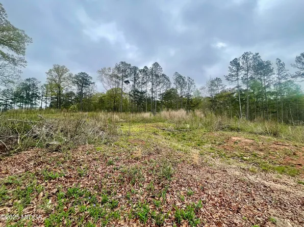 0 English Rd, Forsyth, GA 31029