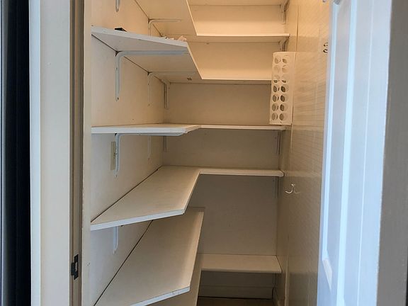 Kitchen walk-in pantry closet.
