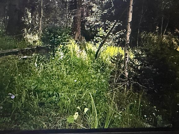 3rd image of LOT 23 Elk Ridge Rd