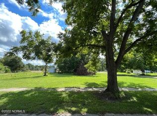 402 E Pollock St, Mount Olive, NC 28365
