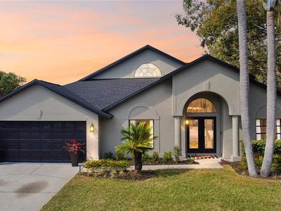 15004 Elmcrest St, Odessa, FL, 33556