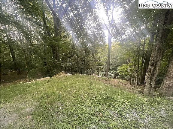2nd image of 118 E Blueberry Lane