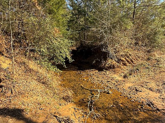 3rd image of County Road 1755