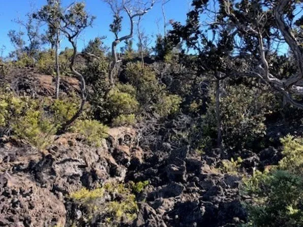 Reef Pkwy Lot 13, Ocean View, HI 96737