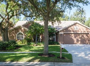 3713 Treeline Dr, Valrico, FL 33596