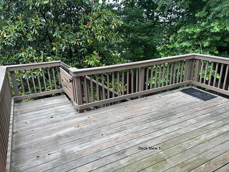 Deck View #1