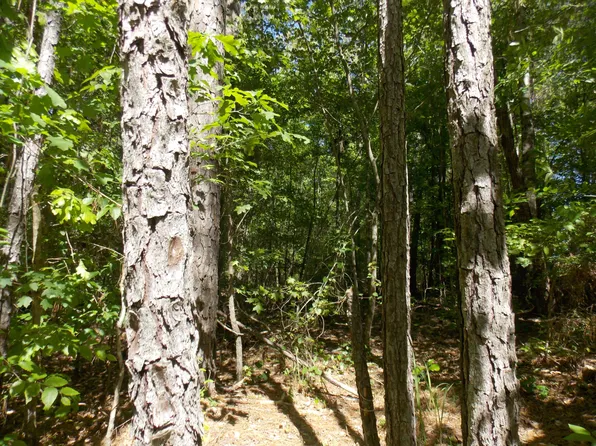 19 LBK CIRCLE, Tignall, GA 30668