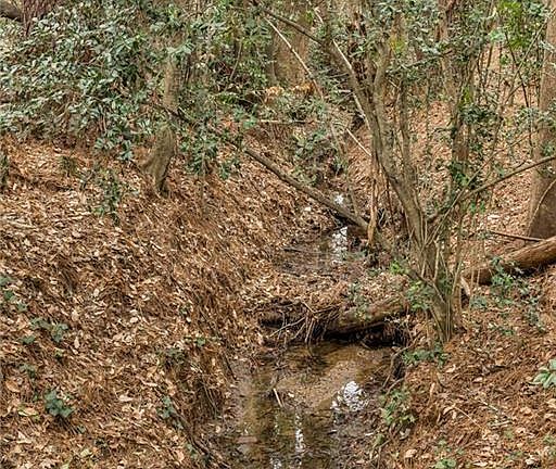 4th image of 3509 Cold Spring Ln #21