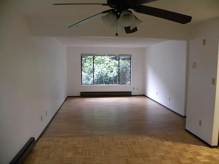 Large living/dining rooms