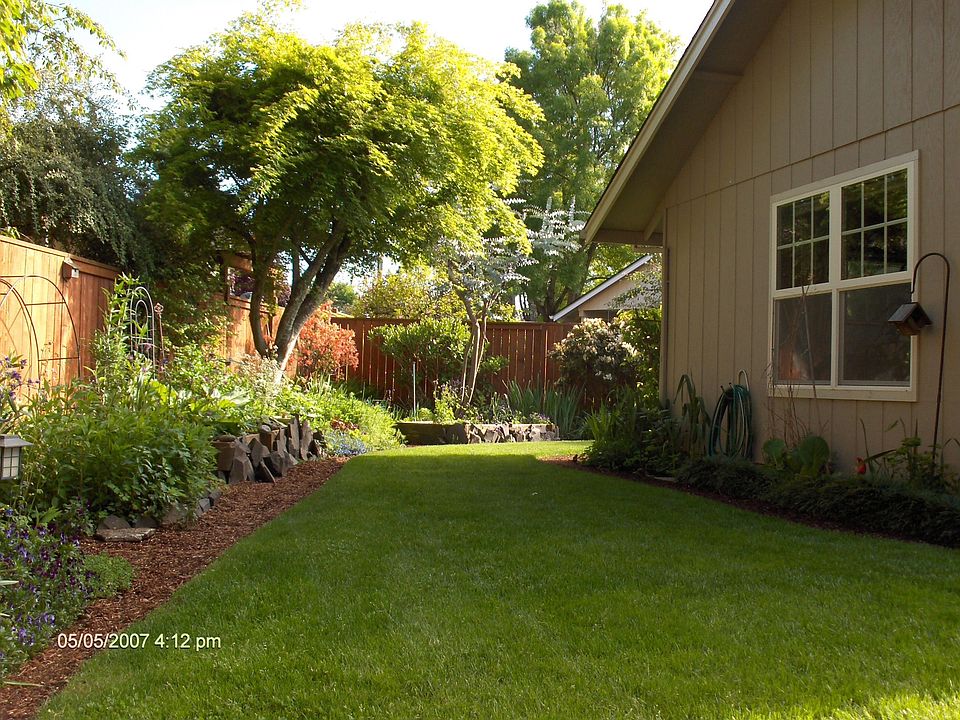 back yard