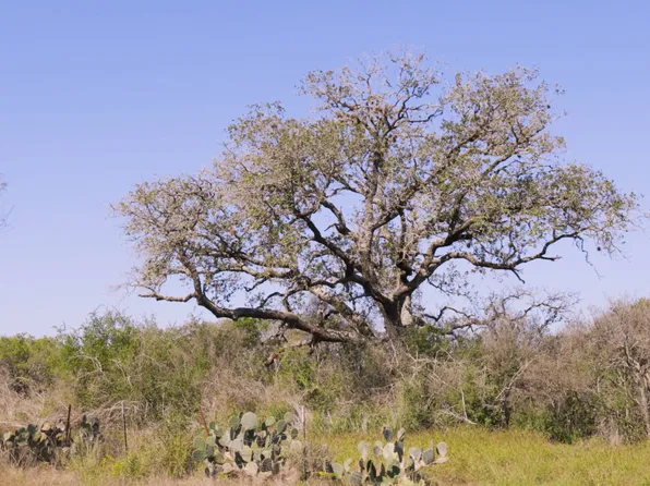 140 CR 2644 LOT 56, Moore, TX 78057