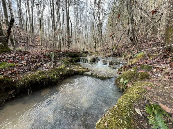 1500 N Guinn Narrows Rd, Decatur, TN 37322