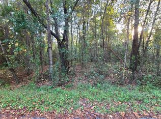 0 Sequoia Loop Ln #15, Ocklawaha, FL 32179
