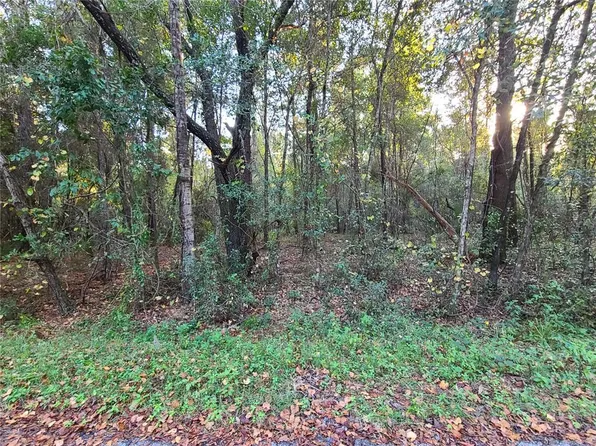 0 Sequoia Loop Ln #15, Ocklawaha, FL 32179