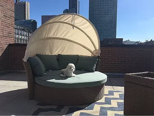 Rented by Owner | media 21